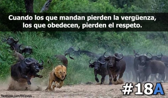 Pensamiento 