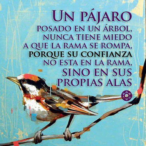 Palabras para El Alma – Pensamientos 