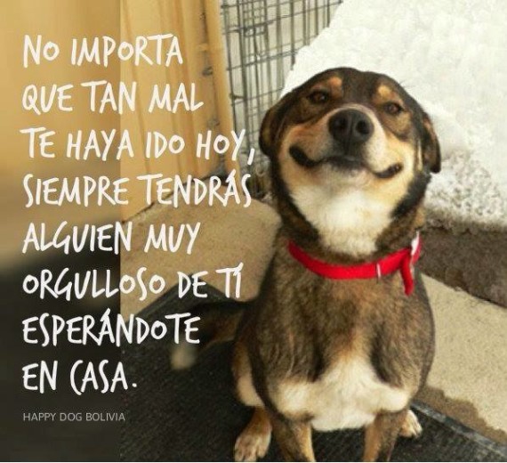 Palabras para El Alma – Pensamientos 