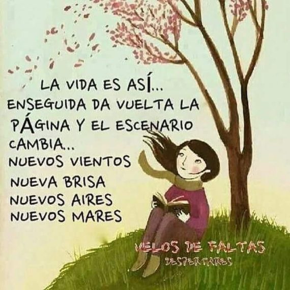 Palabras para El Alma – Pensamientos 